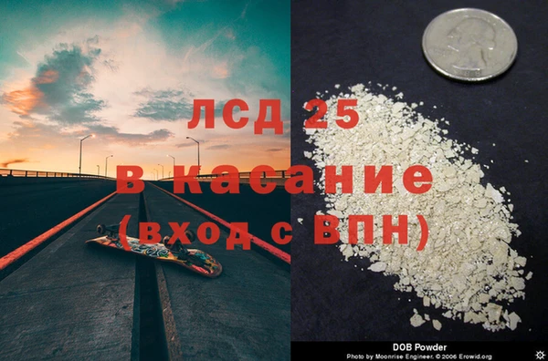 крисы Мегион