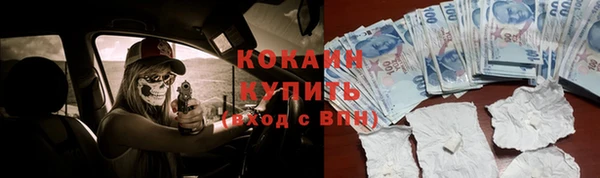 крисы Мегион