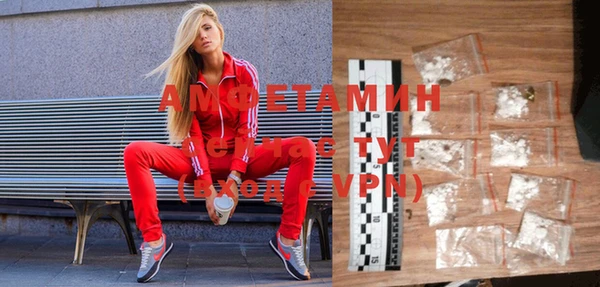 крисы Мегион