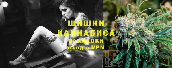 крисы Мегион
