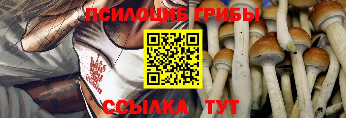 Псилоцибиновые грибы MAGIC MUSHROOMS  Шатура 